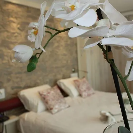 מלון Boetiek Plein Vijf